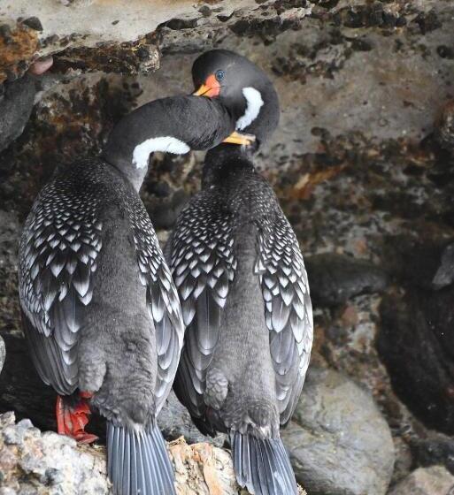 Hostel Posada Mis 3 Bendiciones