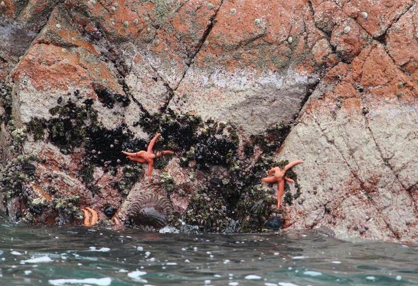 Hostel Posada Mis 3 Bendiciones