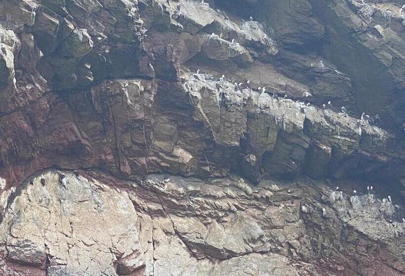 Hostel Posada Mis 3 Bendiciones