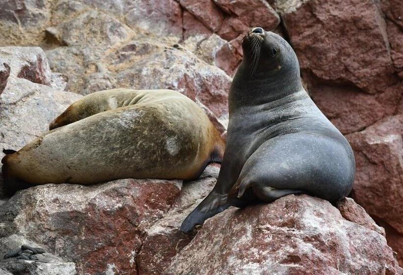 Hostel Posada Mis 3 Bendiciones