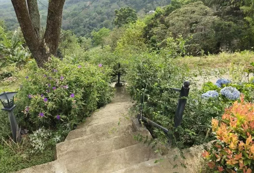 ペンション O Neill S Cottage