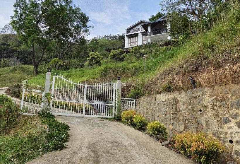 Pensão O Neill S Cottage