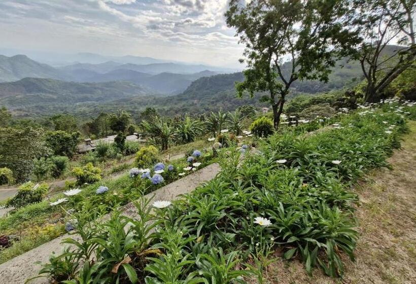 Pensão O Neill S Cottage