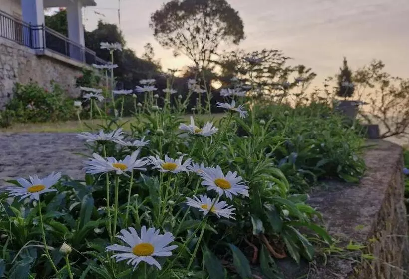 ペンション O Neill S Cottage