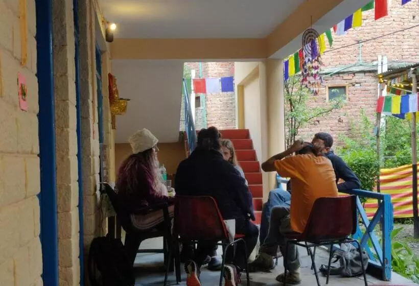 Himalayan Vibes Hostel   Old Manali