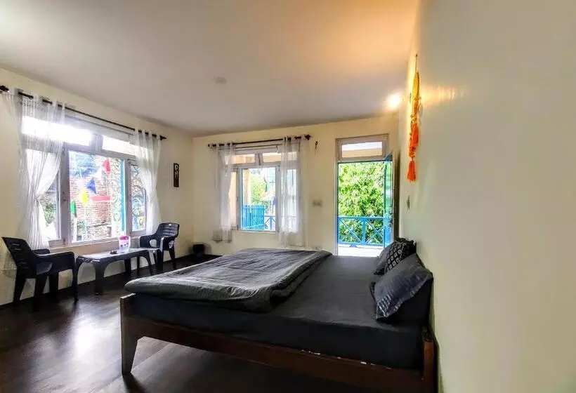 Himalayan Vibes Hostel   Old Manali