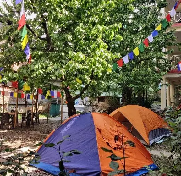 Himalayan Vibes Hostel   Old Manali