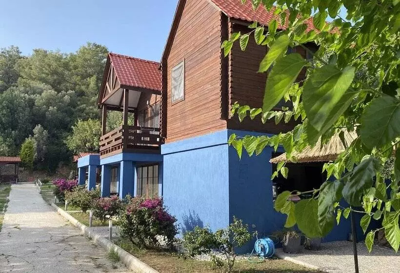 ホテル Dada Bungalows