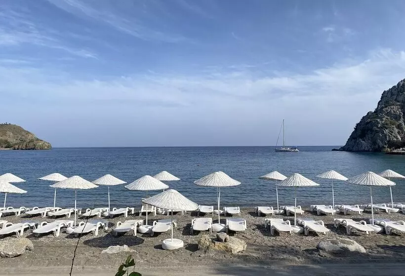 ホテル Dada Bungalows