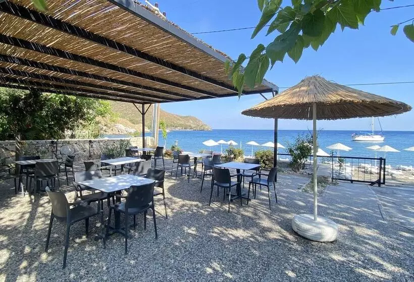 ホテル Dada Bungalows