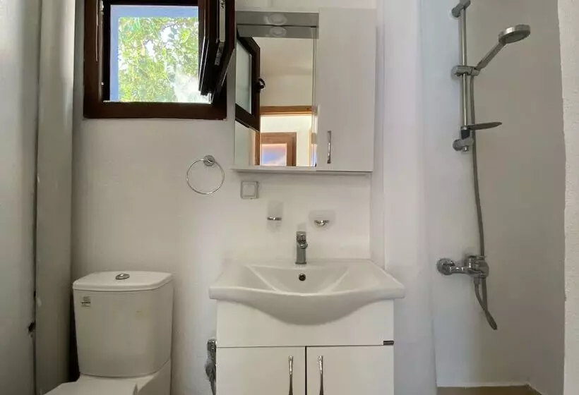 ホテル Dada Bungalows