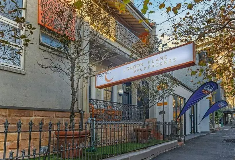 هاستل London Plane Backpackers