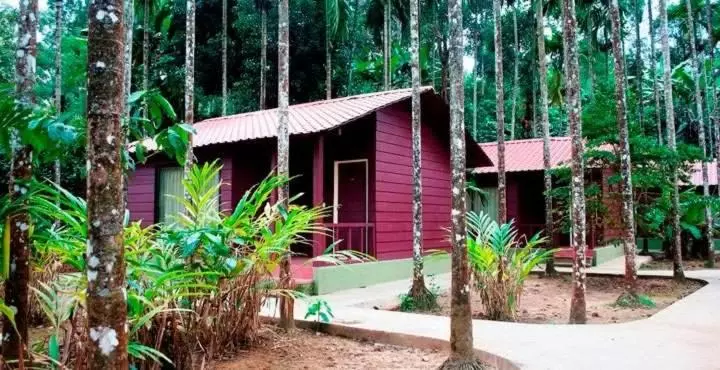 ホテル Lazo Areca Resort , Coorg