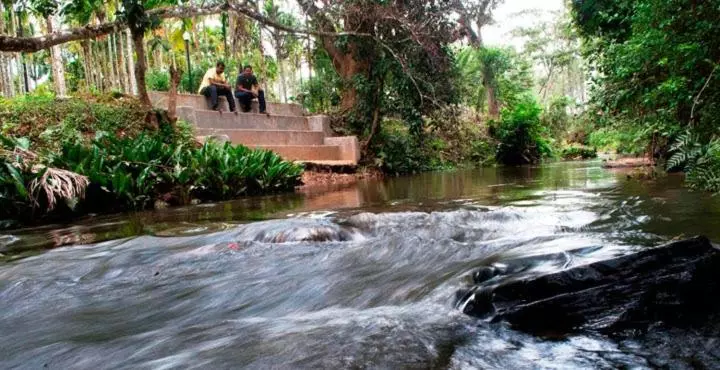 ホテル Lazo Areca Resort , Coorg