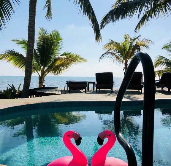 ユースホステル Coral Cove Inn