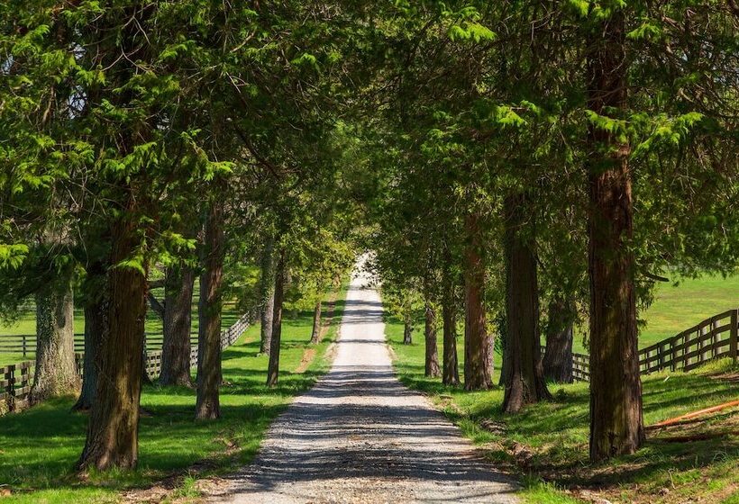Bed and Breakfast The Inn At Tacaro Estate