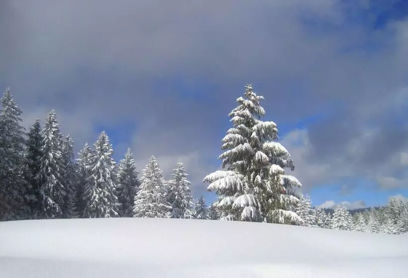 Hotelli & Chalets Herrihof