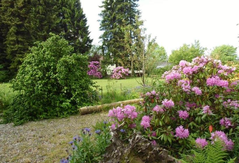 ホテル Ferienwohnung An Der Quelle