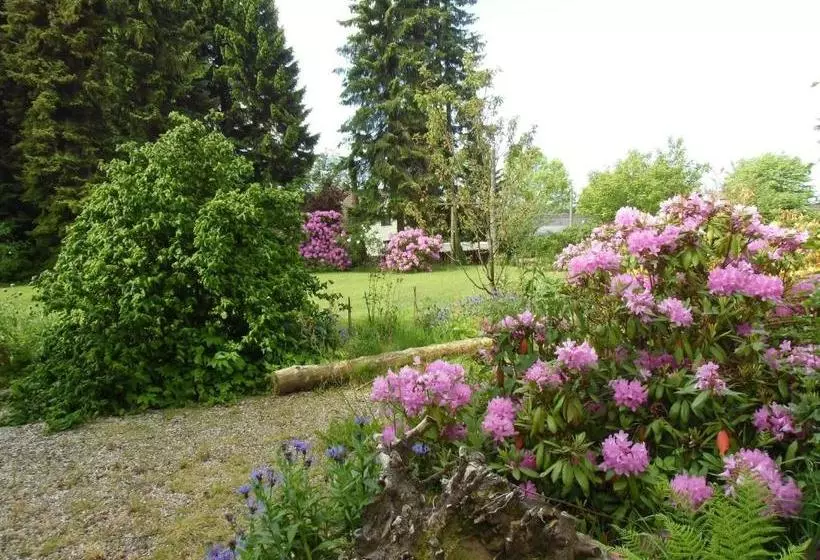 ホテル Ferienwohnung An Der Quelle