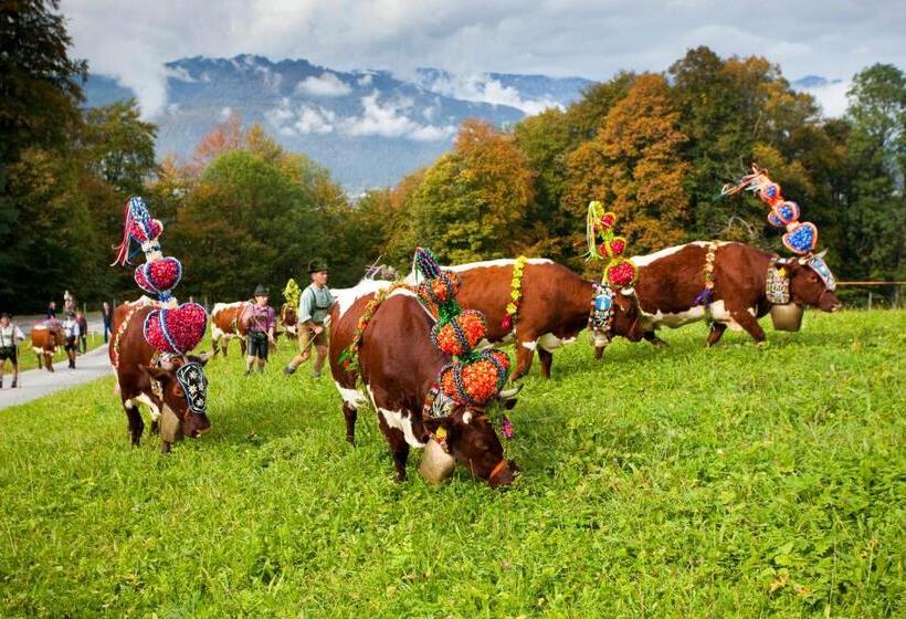 호텔 Hindenburglinde