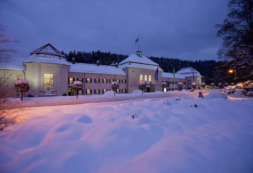 فندق Konig Albert