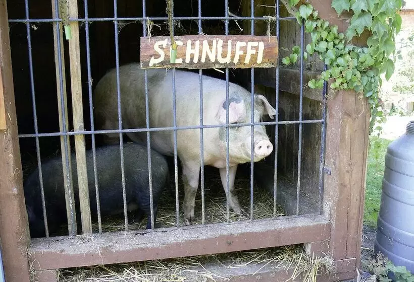 Hotelli Landferienhaus Pension Erika