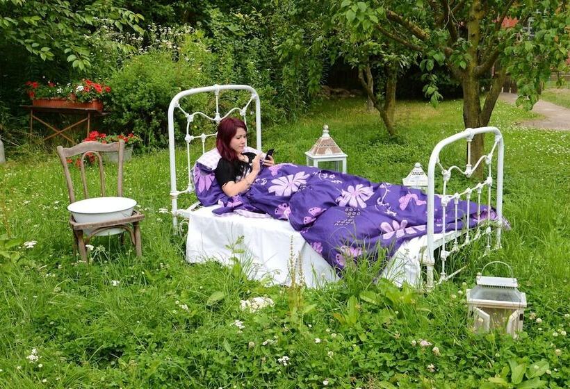 فندق Landferienhaus Pension Erika