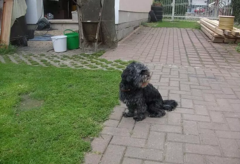 Hotelli Landferienhaus Pension Erika