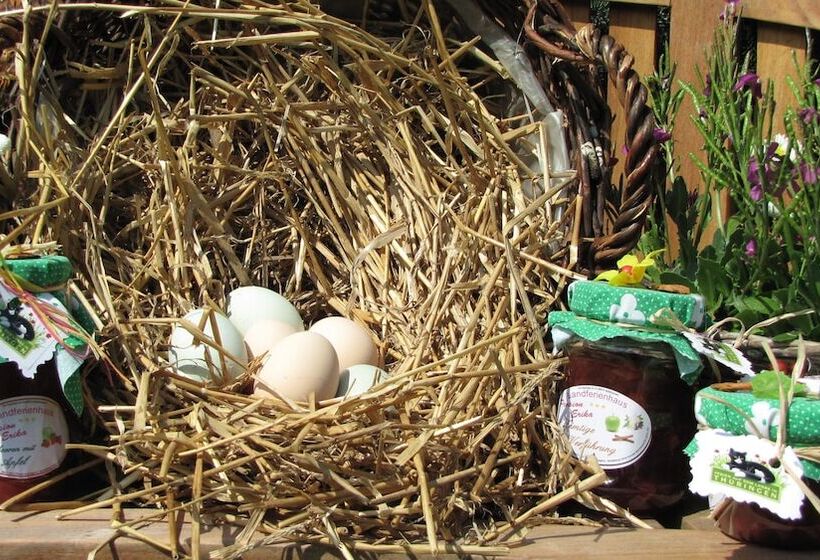 فندق Landferienhaus Pension Erika