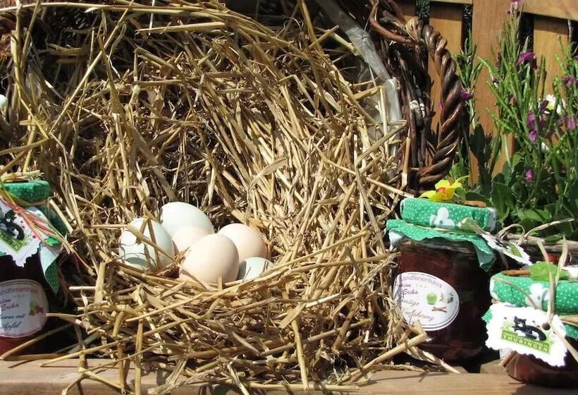 Hotelli Landferienhaus Pension Erika