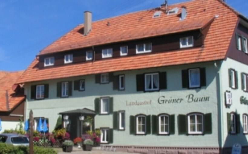 בית מלון כפרי Landgasthof Grüner Baum