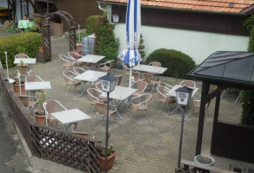 בית מלון כפרי Landgasthof Grüner Baum