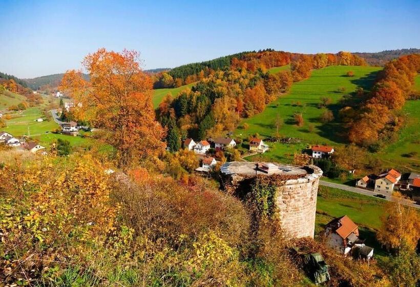 בית מלון כפרי Landgasthof Grüner Baum