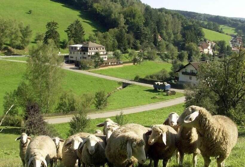 בית מלון כפרי Landgasthof Grüner Baum