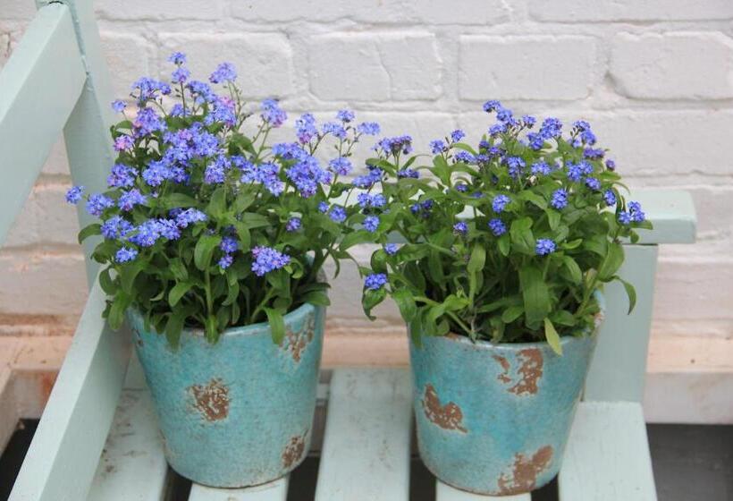 בית מלון כפרי Lili Marleen