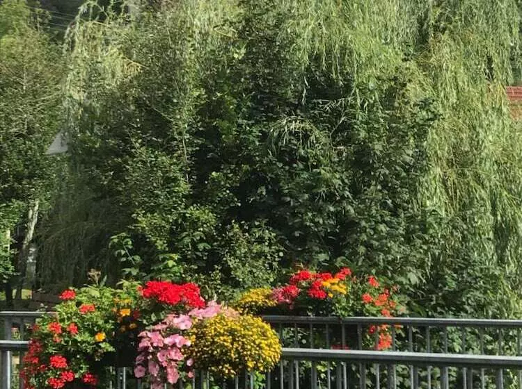 Hotelli Pension Allebrodt