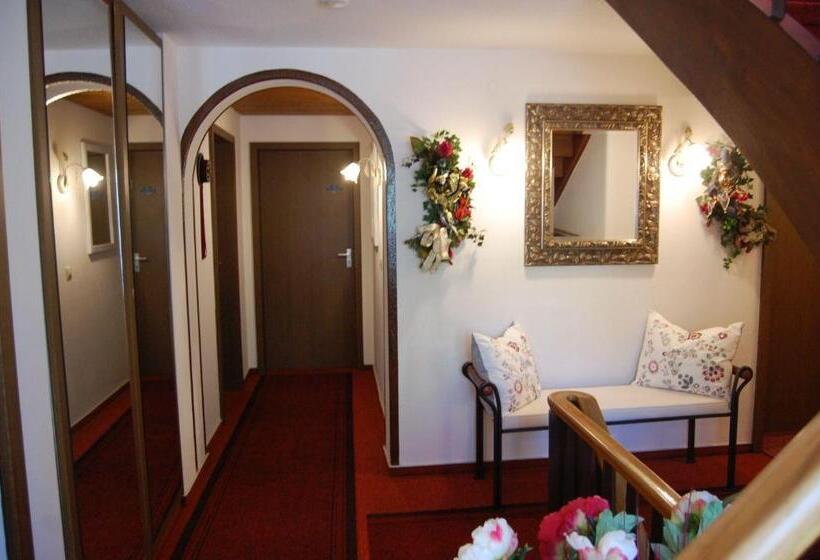 فندق Pension   Heidelberg