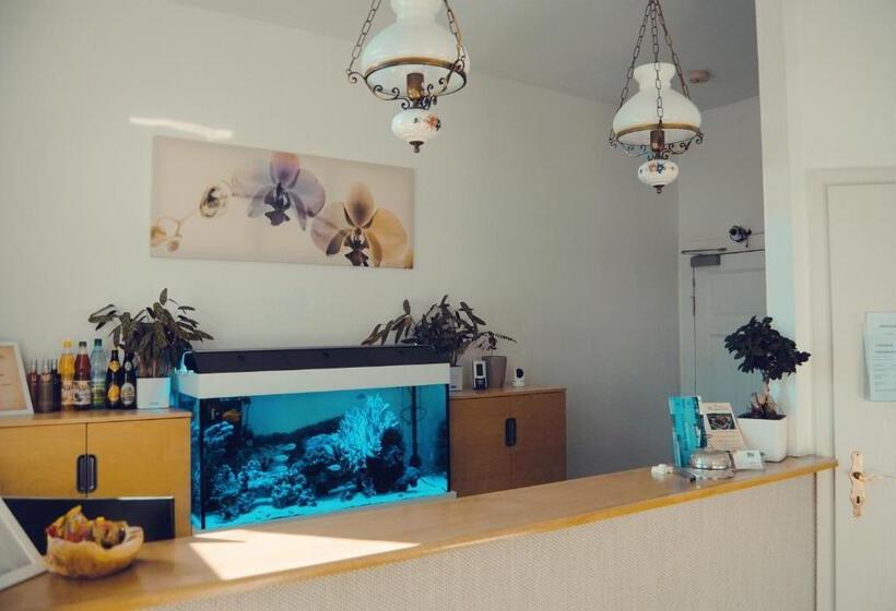 בית מלון כפרי Pension Morgenweck