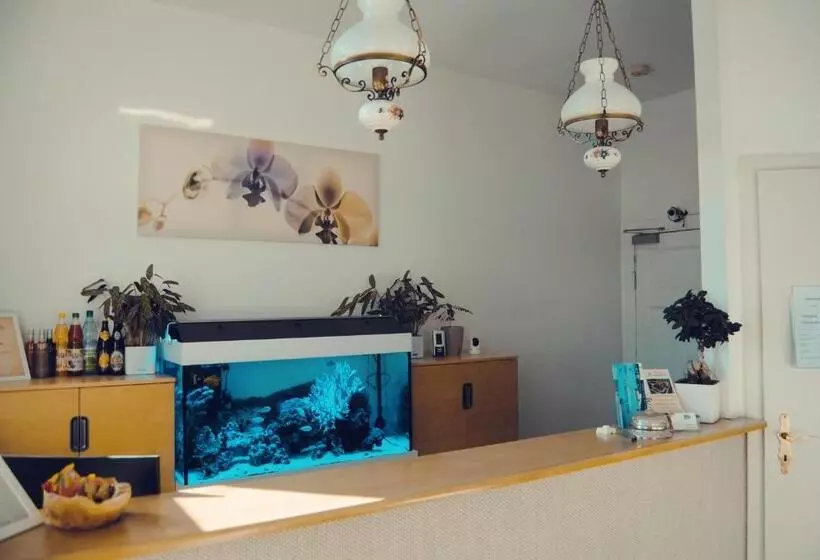 Hotelli Pension Morgenweck