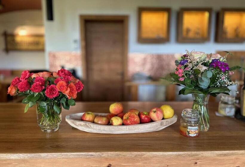 Boutique Hotel And Apartments Pension Sternen