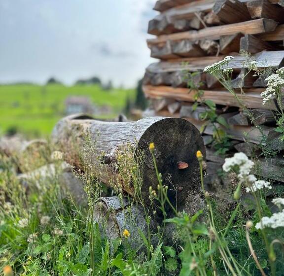 Boutique Hotel And Apartments Pension Sternen