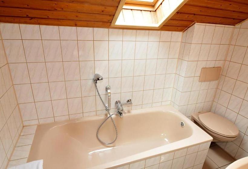 Hotel Pension Am Park