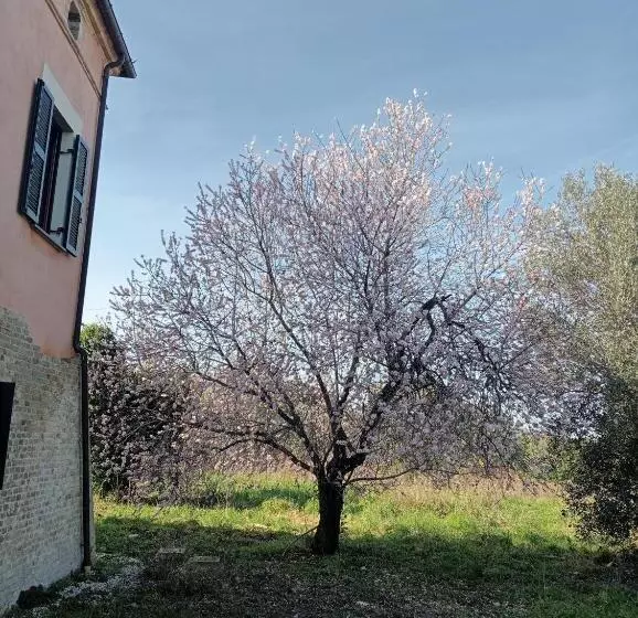 ベッドアンドブレックファースト Casale Costa Dei Trabocchi