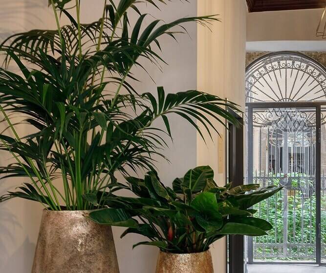 Grand Universe La Residenza