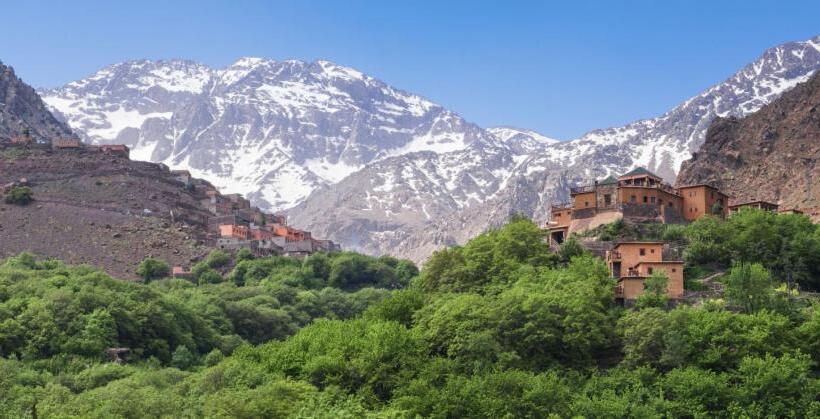 Pension (Hôtel basse catégorie) Dar Arghen Family Lodge