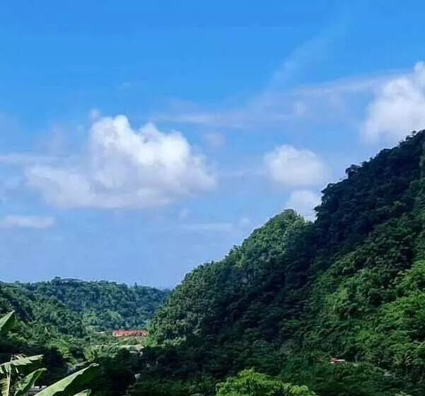 هتل Villa Copthall