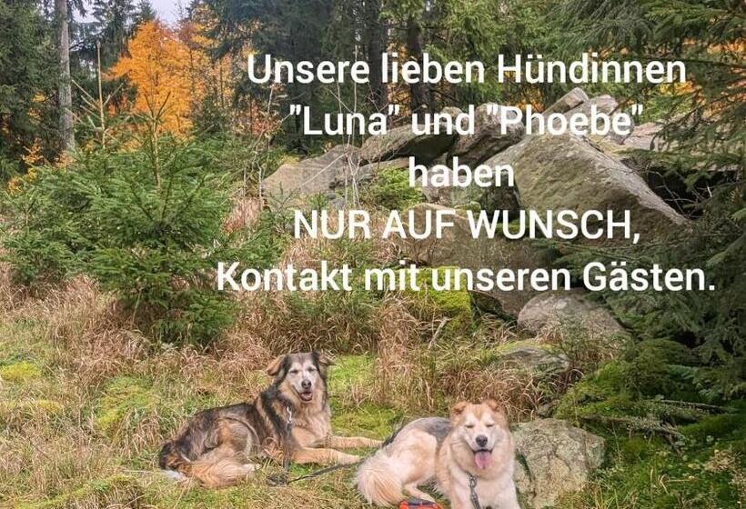 펜션 Landhaus Kühler Morgen, Appartement Mit 140er Futonbett, Teeküche, Bad