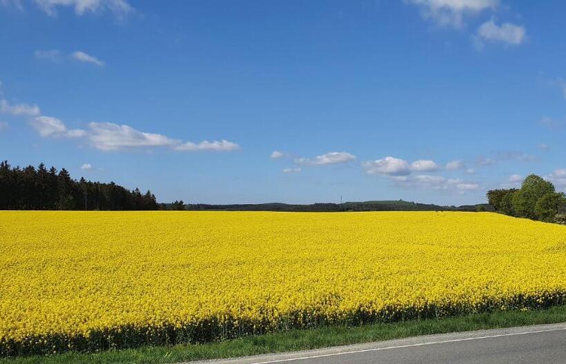 펜션 Landhaus Kühler Morgen, Appartement Mit 140er Futonbett, Teeküche, Bad