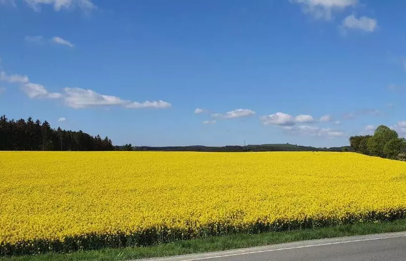 Majatalo Landhaus Kühler Morgen, Appartement Mit 140er Futonbett, Teeküche, Bad