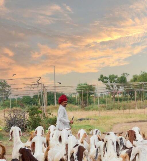 酒店 Stayvista S Gaudhuli Farmstay Outdoor Pool & Terrace With View